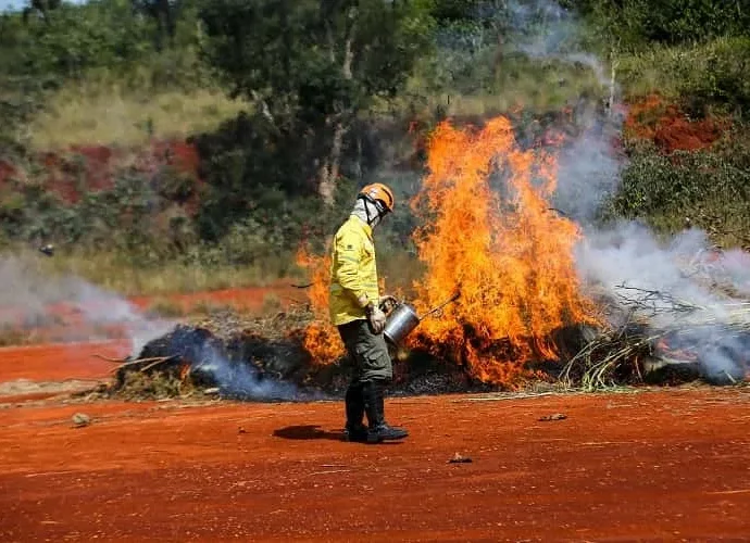 Queimadas no interior de SP: calor e umidade abaixo de 30% aumentam risco