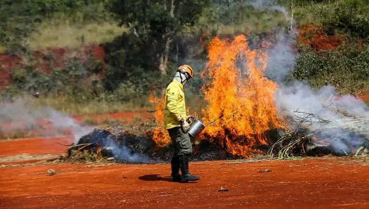 Queimadas no interior de SP: calor e umidade abaixo de 30% aumentam risco