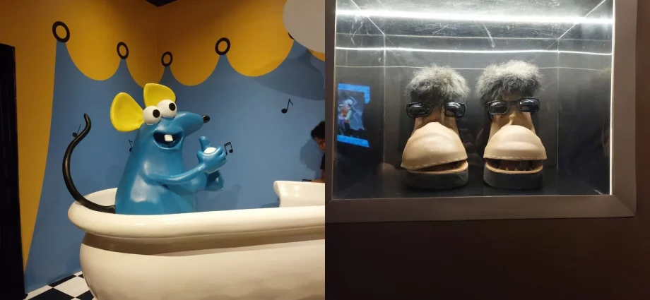 Exposição