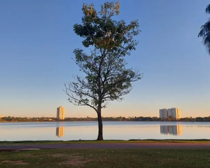 Calor intenso marca a previsão de sexta-feira em Três Lagoas com máxima de 38°C