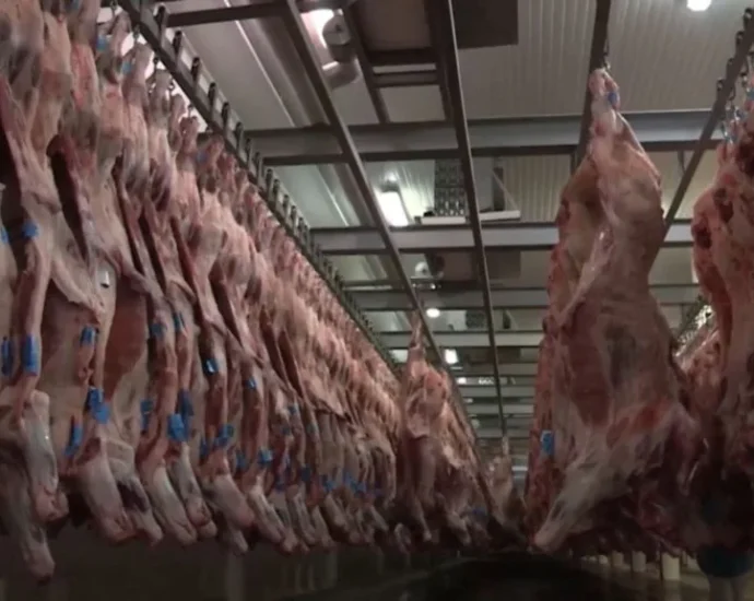 Queda nas Exportações de Carne Bovina de MS em Agosto de 2026