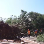 Campo Grande declara situação de emergência após tempestade