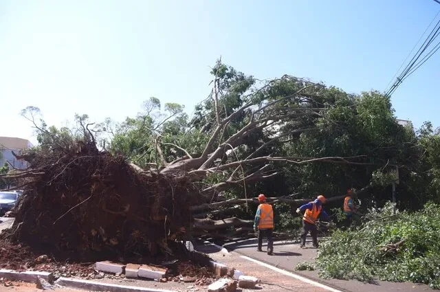 Campo Grande declara situação de emergência após tempestade