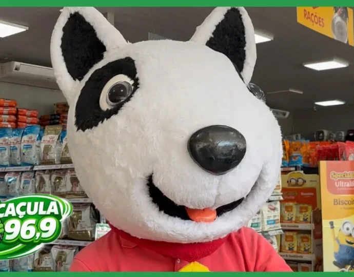 Feira de Adoção em Três Lagoas oferece cães resgatados neste sábado