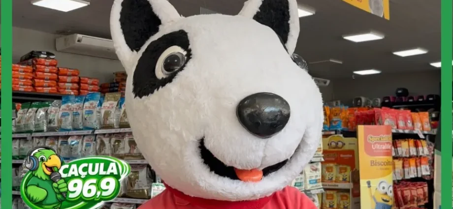 Feira de Adoção em Três Lagoas oferece cães resgatados neste sábado