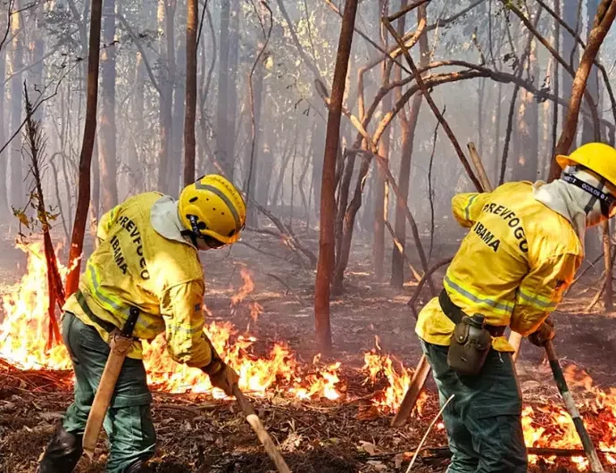 Queimadas no Pantanal apresentam queda de 76% em relação à média histórica