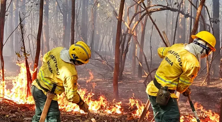 Queimadas no Pantanal apresentam queda de 76% em relação à média histórica