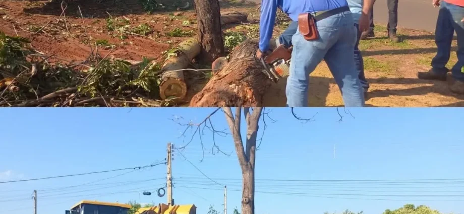 Defesa Civil em Ação: Equipes Mantêm Vigilância em Três Lagoas Após Temporal