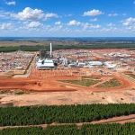 Mato Grosso do Sul atrai investimentos na indústria de celulose