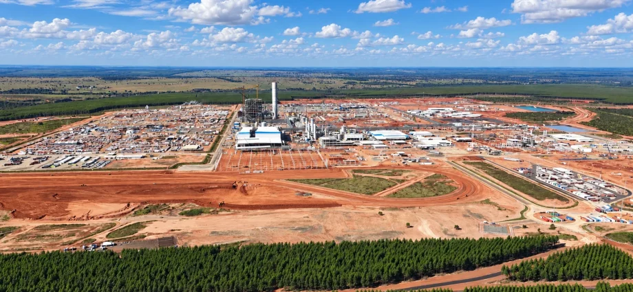 Mato Grosso do Sul atrai investimentos na indústria de celulose