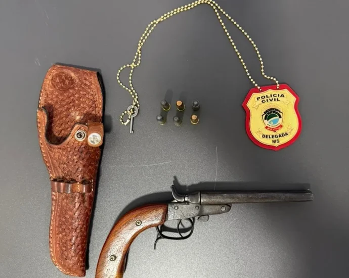 Polícia Civil apreende arma e munições em Bataguassu