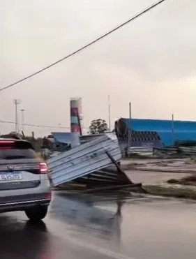 Vendaval provoca queda de árvores e transtornos em Três Lagoas