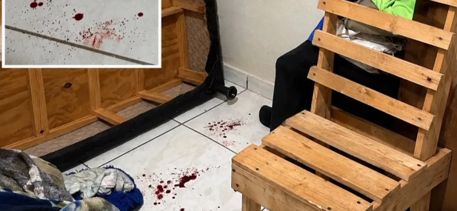 Polícia Civil interrompe execução de organização criminosa em Sonora