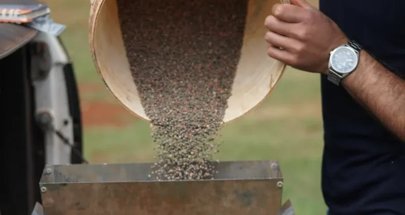 Plantio da Soja em Mato Grosso do Sul Começa em 16 de Setembro com Produtividade Estimada de 52 Sacas