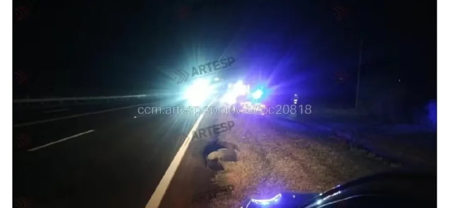Pedestre morre atropelado na SP-294, em São Paulo