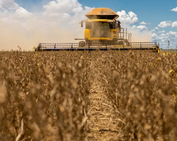 Custo da Soja em Mato Grosso do Sul: 42 Sacas por Hectare para Cobrir Despesas na Safra 2026/27