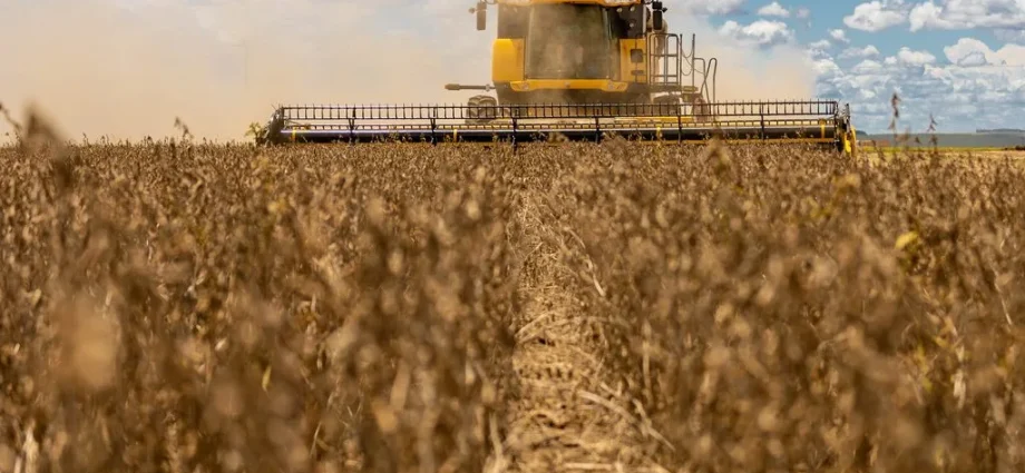 Custo da Soja em Mato Grosso do Sul: 42 Sacas por Hectare para Cobrir Despesas na Safra 2026/27