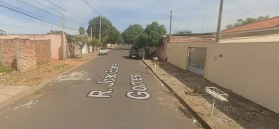 Inquilino abandona quatro cães após despejo em Araçatuba