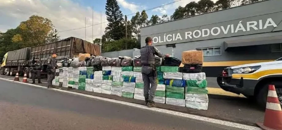 Apreensão de quase 3 toneladas de maconha em carga de aveia em SP
