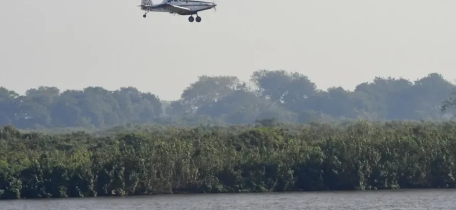 Novo aeródromo no Pantanal promete acelerar socorro e combate a incêndios