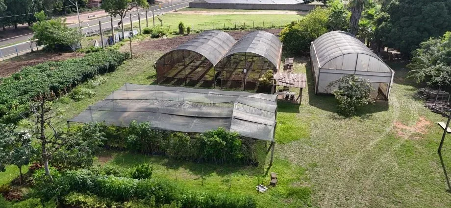 Viveiro Municipal de Três Lagoas mantém atendimento contínuo
