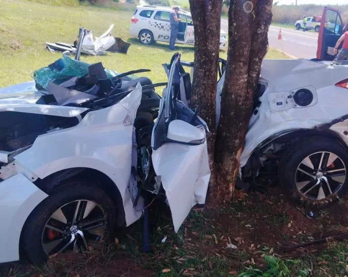 Mulher morre após colisão com árvore na Rodovia SP-543 em Guarani D